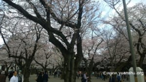 靖國神社2016年4月②